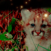 Nature avatar by Peppermint